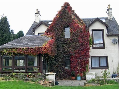 Achnabobane Farmhouse Spean Bridge Luaran gambar